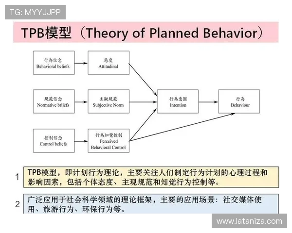 尊龙游戏中的博弈心理，揭示玩家行为与决策的奥秘