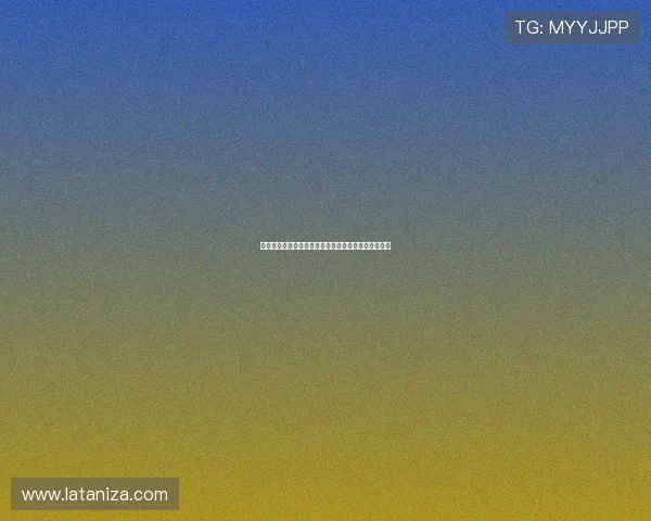 新西兰与比利时在世界杯中的战术布局和实力对比分析